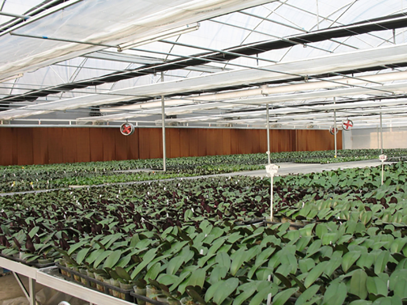 水簾風機安裝案例