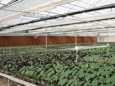 水簾風機安裝案例